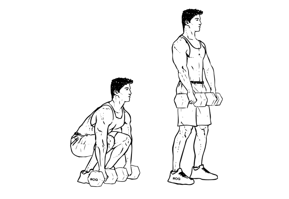 exercices dos avec haltères